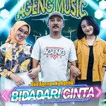 Bidadari Cinta-cover