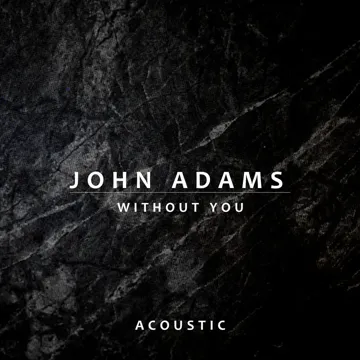 Without You (Acoustic)-cover