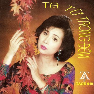 Tạ Từ Trong Đêm-cover