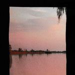 Bruise-cover