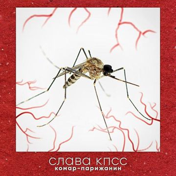 Комар-парижанин-cover