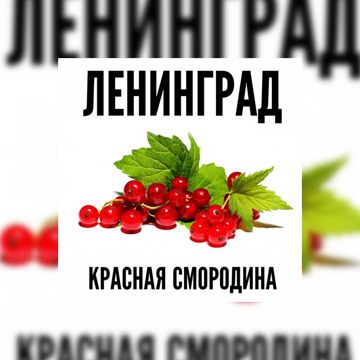 Красная смородина-cover