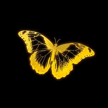 SHINE (golden hour sample)-cover