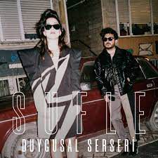 Duygusal Serseri-cover
