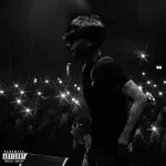 VILLA DE LOBOS 2 (Freestyle)-cover