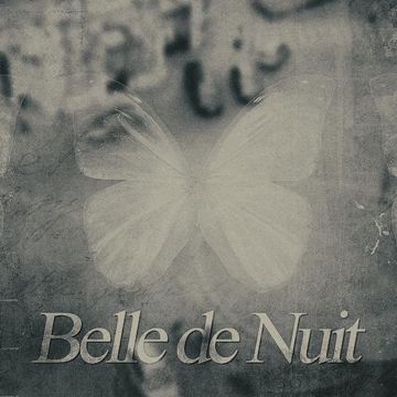 Belle de nuit-cover