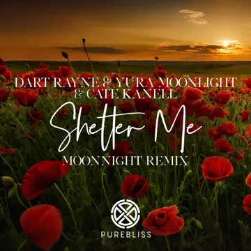 Shelter Me (Moonnight Remix)-cover