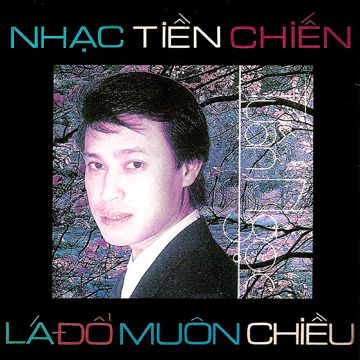 Tôi Đi Giữa Hoàng Hôn-cover