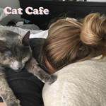 Cat Cafe-cover