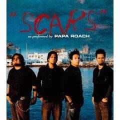 Scars Acoustic Guitar-cover