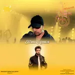 Tumne Hamein-cover