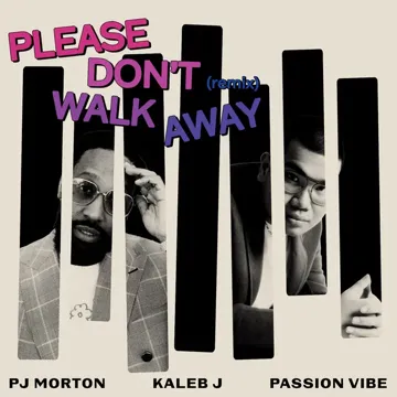 Please Don't Walk Away (Remix)-cover