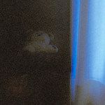 Hello my dear (feat. That)