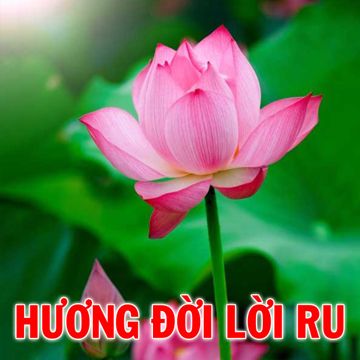 Em tôi lấy chồng