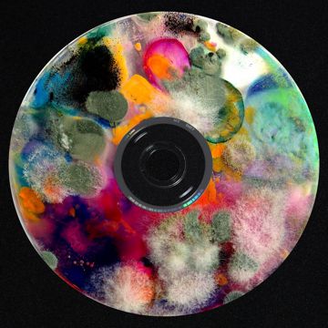 В.О.Л.К.-cover