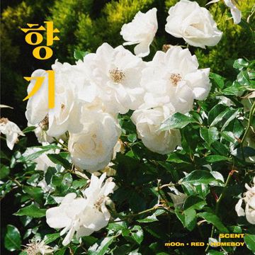 향기 (with.mOOn)-cover