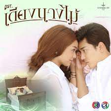 คนๆเดียว-cover