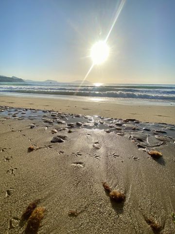 Есть только миг... ❦