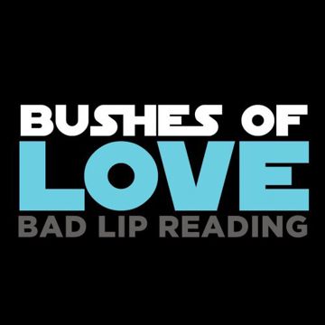 Bushes of Love-cover