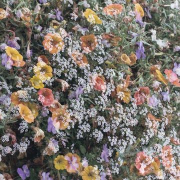 Пятый день недели