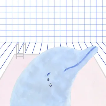 coveImg
