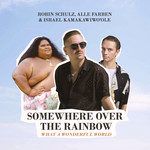Somewhere Over the Rainbow / What a Wonderful World-cover