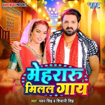 Mehraru Milal Gaay-cover