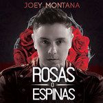 Rosas O Espinas-cover