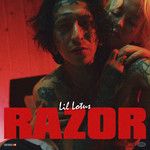 Razor-cover