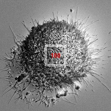 100 (feat. 천재노창)-cover