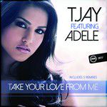 Take Your Love From Me(Deejay Laura Remix)(Remix)-cover