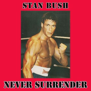 Never Surrender-cover