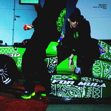 FOR MULA-cover