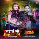 Saiyan Ji Dilwa Mangele Gamcha Bichai Ke-cover