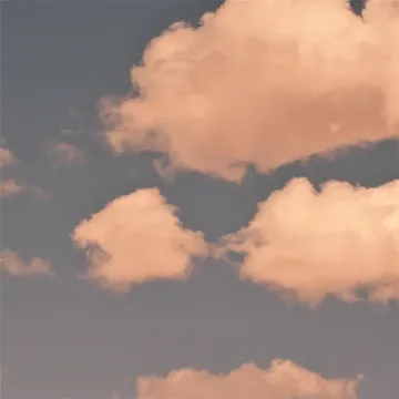 No Sleep-cover