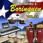 Las Brisas de Mi Borinquen