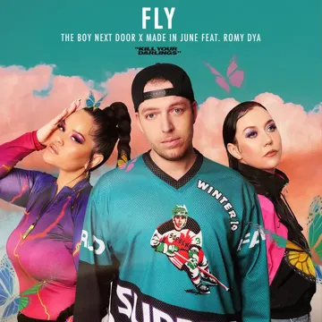 Fly-cover