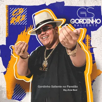Os Bico Tão Se Perguntando-cover