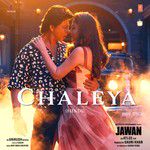 Chaleya (From "Jawan")-cover