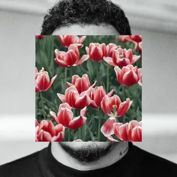 INTRO}-cover