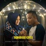 Bidadari Cinta-cover