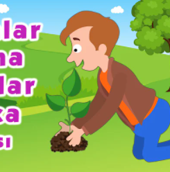 Tohumlar, Fidana-cover