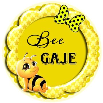 Bee Gaje( Berjalan Tanpamu )-cover