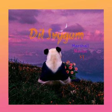 Dil Svygum-cover