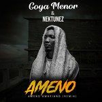 Ameno Amapiano(Remix)-cover
