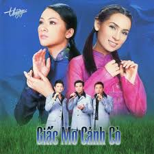 Thoáng Giấc Mơ Qua-cover