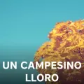 Un Campesino Lloro-cover