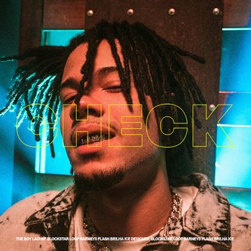 Check-cover