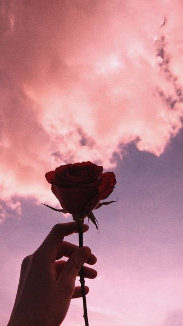 Till I Met You  (acoustic)
