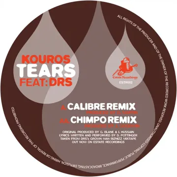 Tears (Calibre Remix)-cover